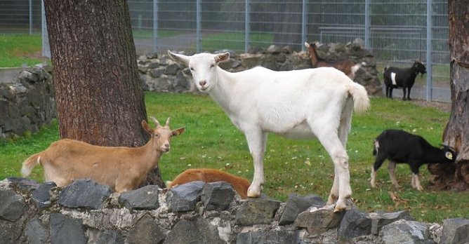 Was guckst Du! (Foto: psv) Was guckst Du! (Foto: psv)