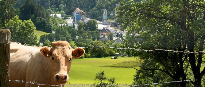 Natur und Gipsproduktion k&ouml;nnen im Einklang gehalten werden. (Foto: J. Poerschke)