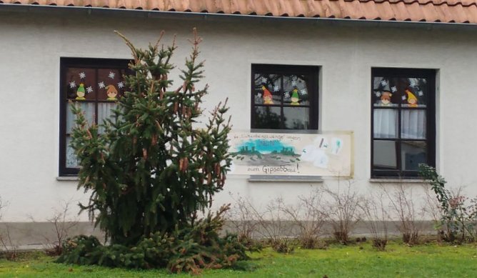 Kandidat f&uuml;r den h&auml;sslichsten Weihnachtsbaum (Foto: privat)