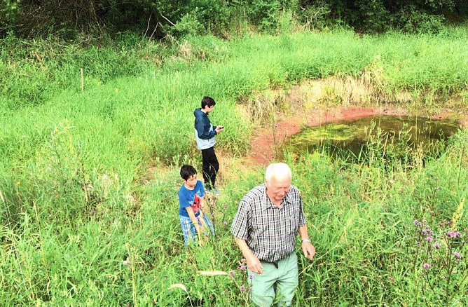 Wo findet man noch Amphibien? In diesem Feuchtbiotop, das Hartmuth Bauer ins Leben rief, sind zu heimisch geworden. Auch die Kinder freuen sich, wenn sie die Fr&ouml;sche quaken h&ouml;ren und Kammmolche beobachten (Foto: privat)