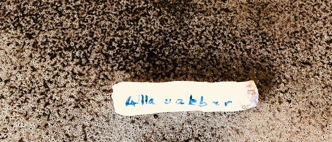 Verd&auml;chtiger Gegenstand (Foto: privat)