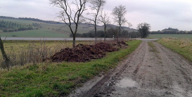 Abgeladen (Foto: Bodo Schwarzberg)