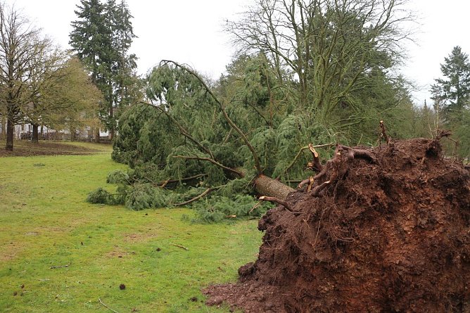 Sturmsch&auml;den in Nordhausen (Foto: Angelo Glashagel)