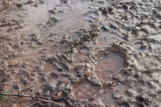 Wetterbild (Foto: Angelo Glashagel) Wetterbild (Foto: Angelo Glashagel)