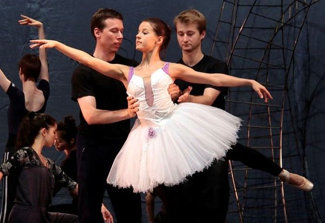 Probenbilder (Foto: T. Graner) Probenbilder (Foto: T. Graner)