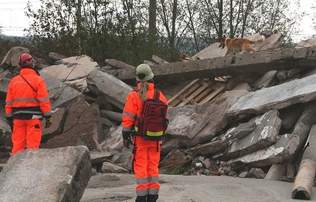 Tori im Einsatz (Foto: privat)