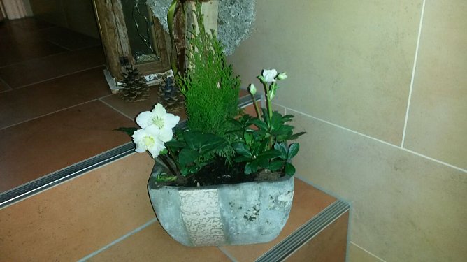 Geklaut (Foto: privat)