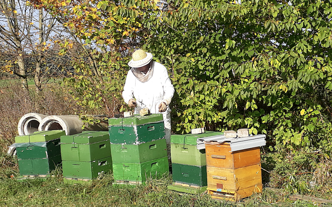Der Imker Henning Illers aus Wieda demn&auml;chst wieder zu Gast in Niedersachswerfen (Foto: BUND Kreisverband Nordhausen)