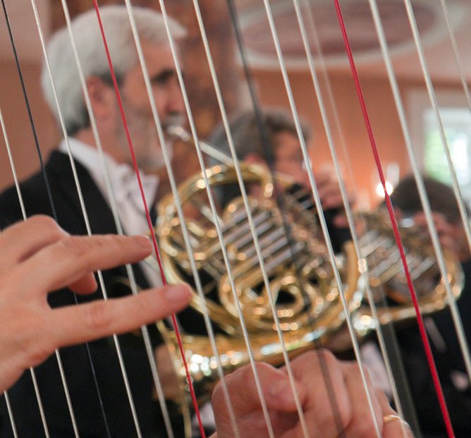 Himmlisches Instrument im 3. Loh-Konzert (Foto: Birgit Susemihl)