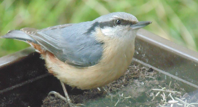 Mit dem Fotoapparat auf der Pirsch (Foto: privat)