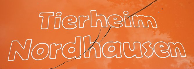 Tierheim hofft auf Unterst&uuml;tzung (Foto: Angelo Glashagel)