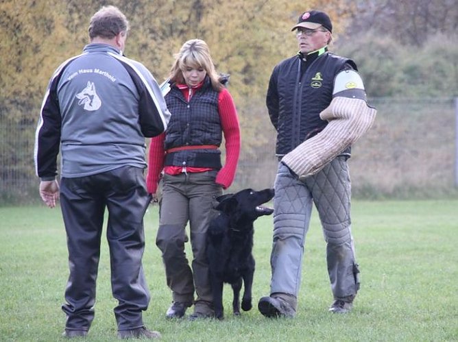 Gebellt und geprüft (Foto: H. Kühn) Gebellt und geprüft (Foto: H. Kühn)
