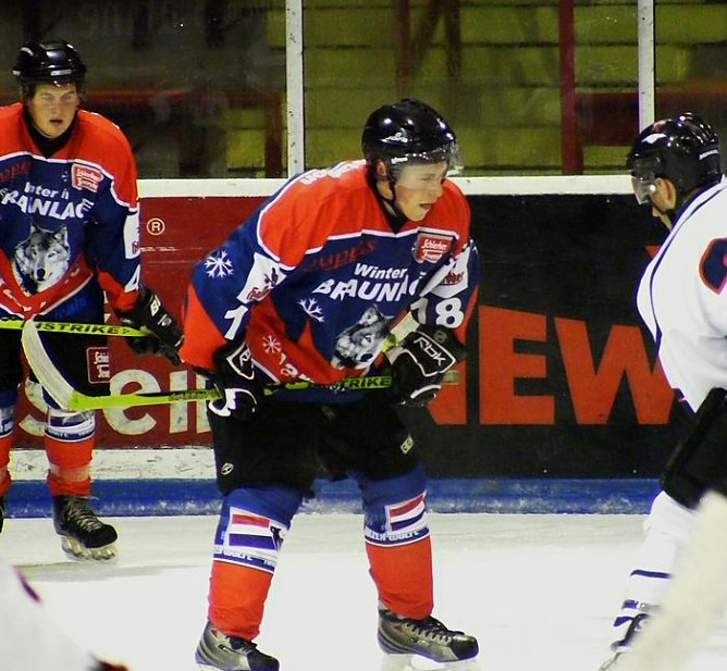 Stiere? (Foto: R. Koch) Stiere? (Foto: R. Koch)