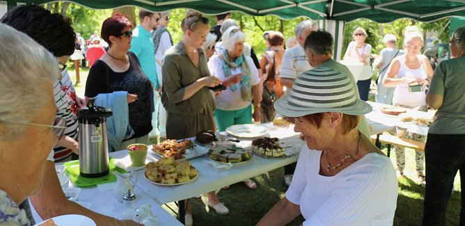 Parkfest in Hohenrode (Foto: Angelo Glashagel)