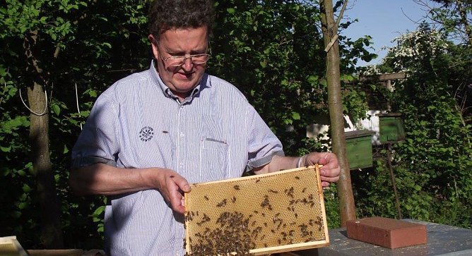 J&uuml;rgen Reichl betreibt hauptberuflich ein Schl&uuml;sseldienst-Fachgesch&auml;ft. Sein leidenschaftliches Hobby ist die Imkerei. Viele Stunden widmet er in seiner freien Zeit den emsigen Bienen (Foto: Kurt Frank)