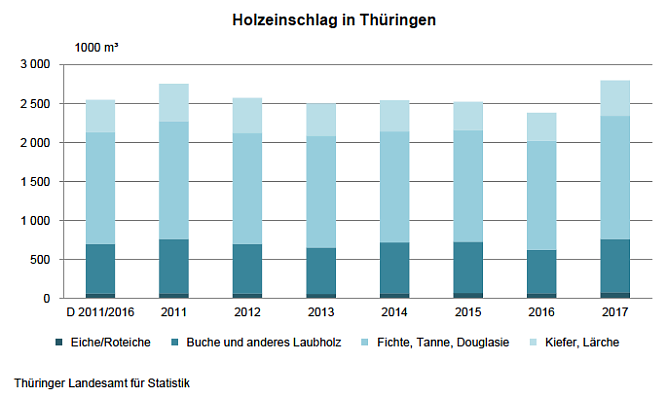 Holzeinschlag in Th&uuml;ringen (Foto: Th&uuml;ringer Landesamt f&uuml;r Statistik)