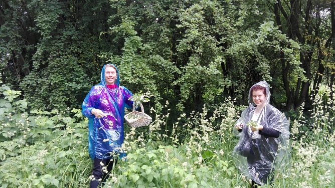 Kr&auml;uterwanderung der Frauenunion (Foto: privat)