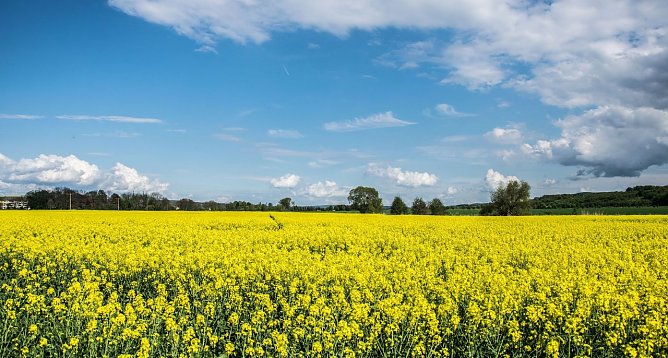 Wetterbild (Foto: Gernot Thelemann)