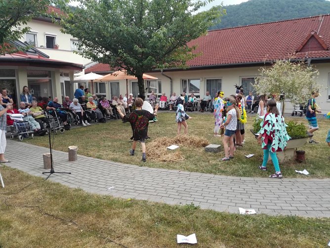 Vogelhochzeit im Sonnenhof (Foto: Danny Kais)