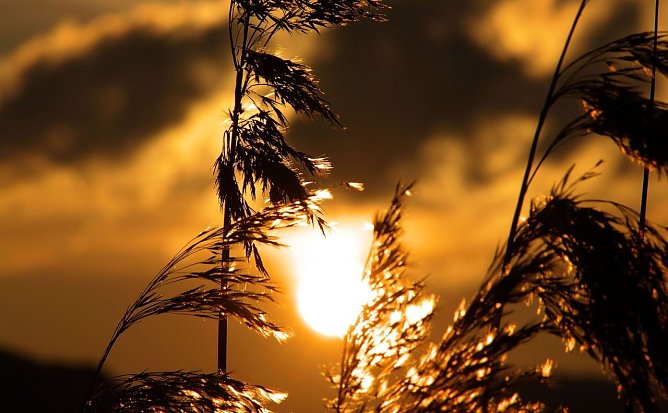 Wetterbild (Foto: Gernot Thelemann)