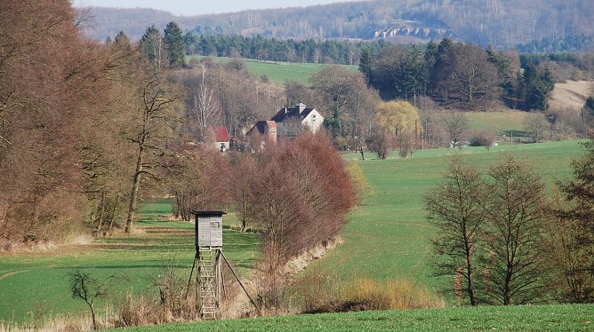 Auf den Spuren wilder Katzen (Foto: A. Heise)