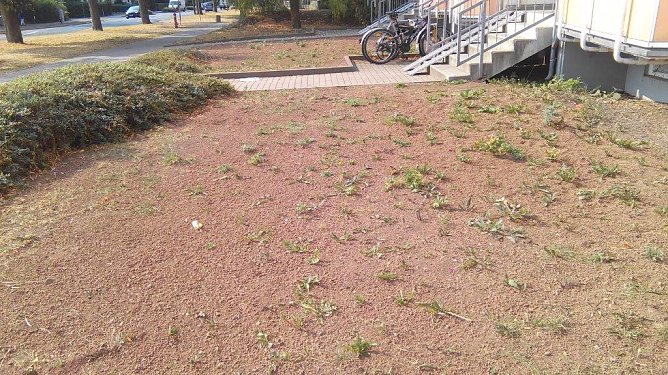 Trist und grau die Reihe der  kleinen G&auml;rtchen vor dem SWG-Block gegen&uuml;ber dem Haus der Dienste . (Foto: Kurt Frank)