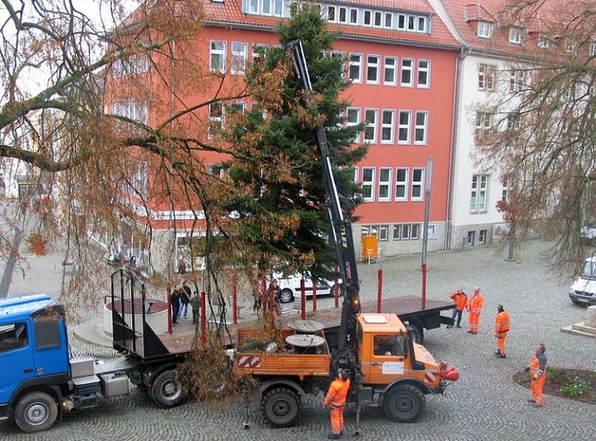Weihnachtsbaum (Foto: pln)