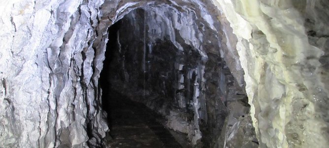 Abtauchen, Staunen und Schauen (Foto: L. Schubert)