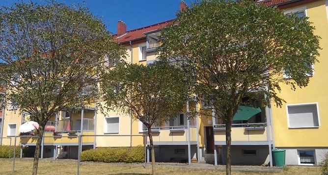 B&auml;ume werden privat gepflegt (Foto: Kurt Frank)