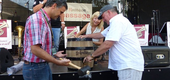 Angestochen (Foto: nnz)