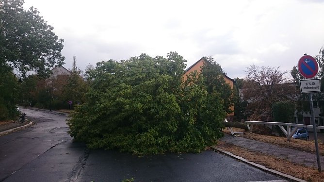 Unwetterschaden am Weinberg (Foto: Angelo Glashagel)