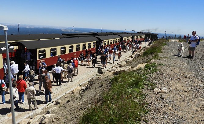 R&uuml;ckfahrt mit der HSB (Foto: Herbert Buchholz)