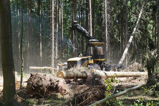 Beseitigung von Sch&auml;den (Foto: Dr. Horst Spro&szlig;mann)