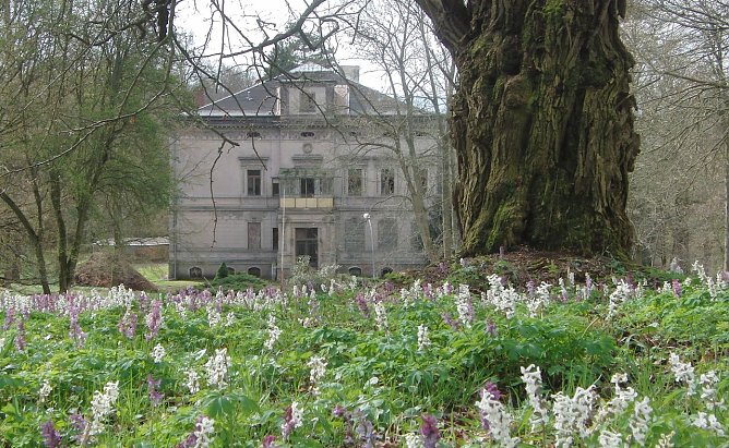 Park Hohenrode - Blick auf die Villa (Foto: B. Schwarzberg)
