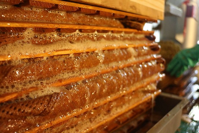 Saftpresse (Foto: Angelo Glashagel)