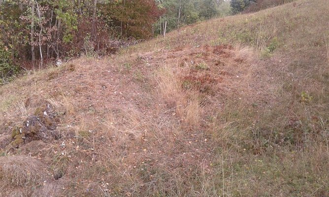 M&auml;hen gegen den Gipsabbau� (Foto: B. Schwarzberg)