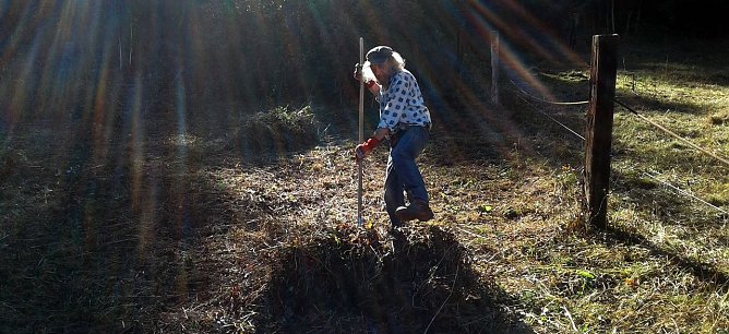 Fritz Daniel aus Sondershausen bei der Arbeit im Niedermoor. (Foto: B. Schwarzberg)