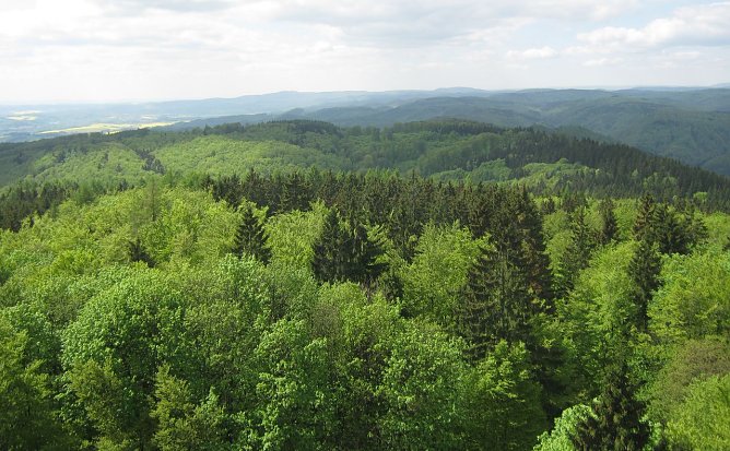 Harzblick (Foto: Anja Apel)