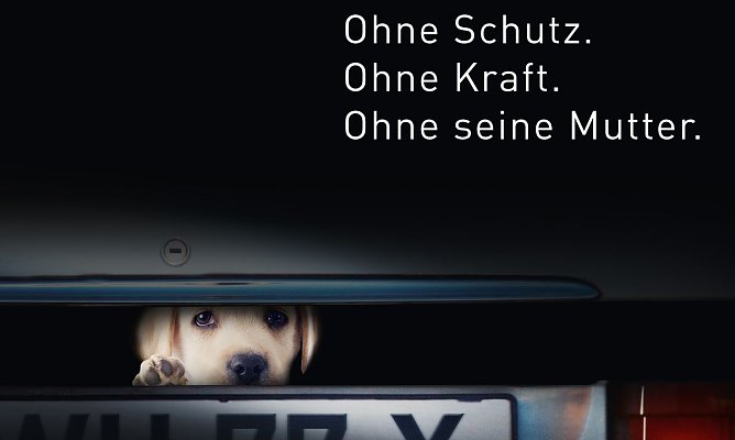 AG Welpenhandel warnt vor illegalem Internethandel (Foto: Tierschutzbund Deutschland)