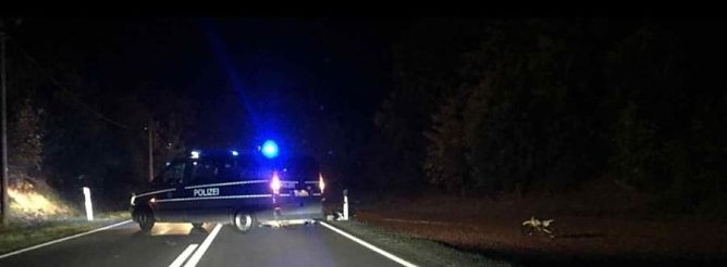 Unfallstelle (Foto: S. Dietzel)