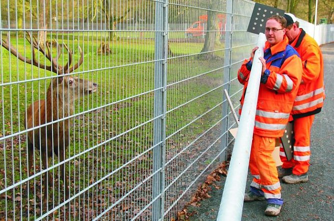 Licht f&uuml;r Paul (Foto: I. Bergmann)