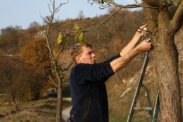 2. Aktionstag Pflege (Foto: Sabine Pusch)