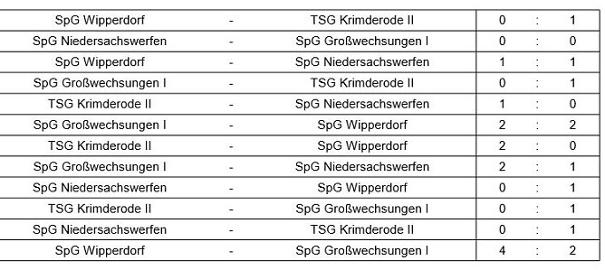 Hallenkreismeisterschaft D-Junioren (Foto: NTKFA)