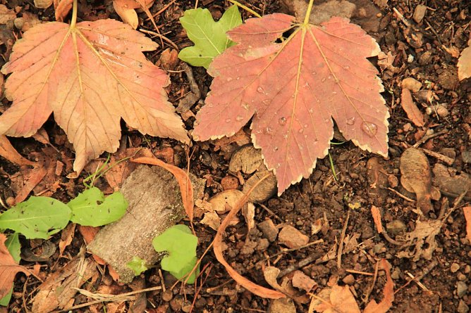 Wetterbild (Foto: Angelo Glashagel)