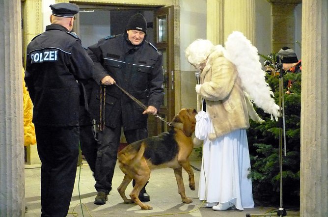 Gesucht und gefunden (Foto: B. Susemihl)