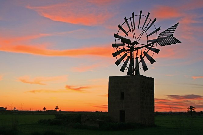 Windm&uuml;hle auf Mallorca (Foto: Matthias Hanke)