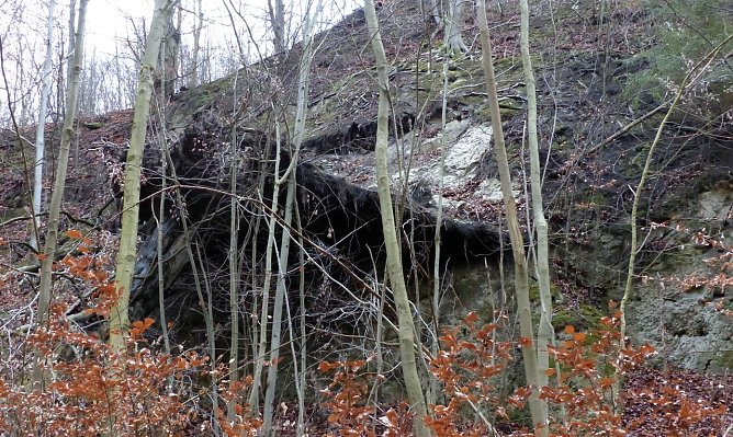 Wetterbild (Foto: nnz)