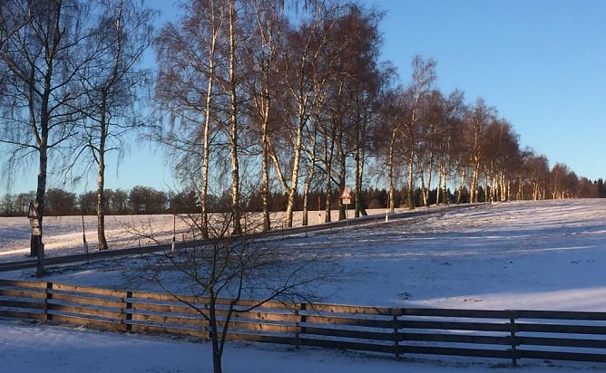 Sophienhof heute morgen, im Landkreis Nordhausen (Foto: W. J&ouml;rgens)