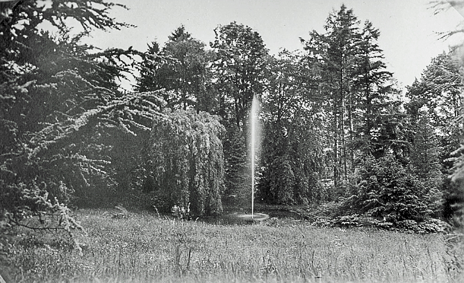 Historische Ansicht der Seerosenteiche (Foto: Sven Liss)