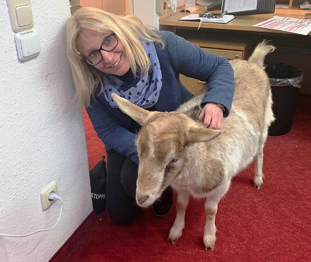 Tierischer Besuch im Sonnenhof (Foto: Danny Kais)
